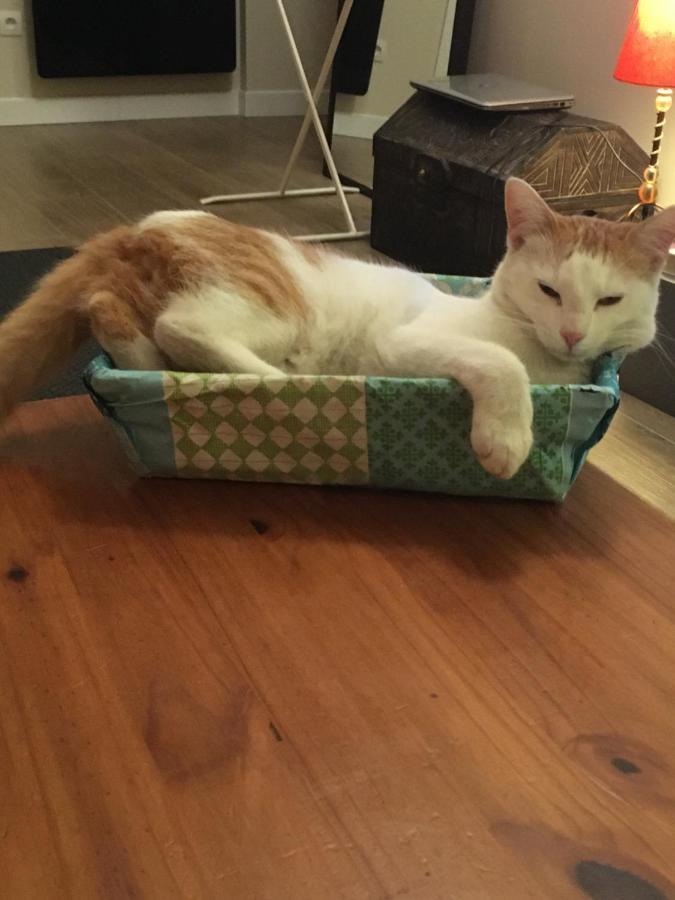 הוילה Jolie Maison ארס מראה חיצוני תמונה